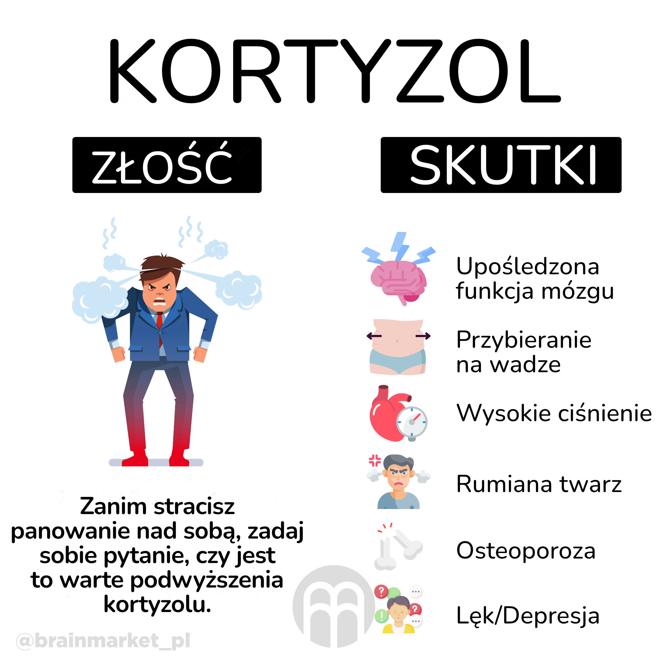 kortizol_infografika_brainmarket_pl